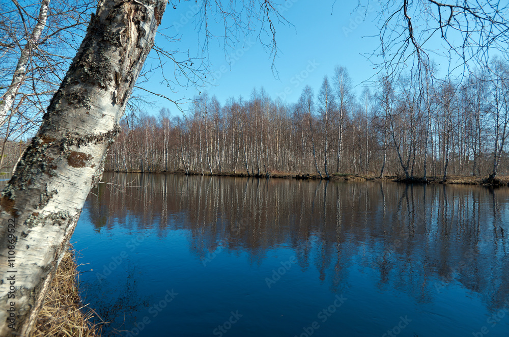 Obraz premium Spring flooding on the river