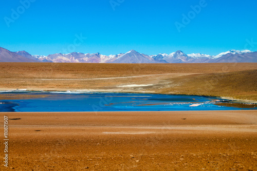 Laguna Collpa lake on bolivian Altiplano