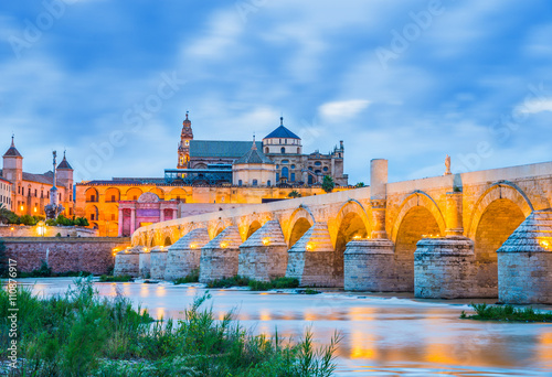 Beautiful panoramic view over the roman bridge and castle, in Cordoba, Andalusia, Spain