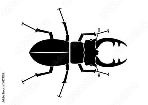  Beetle deer on a white background in vector graphics, stag beetles