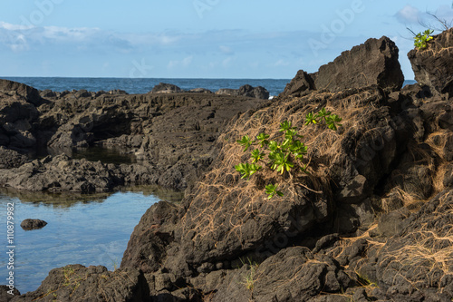 Lava Tide Pool