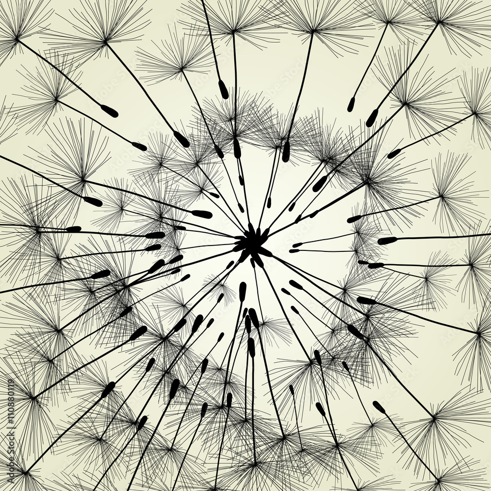Obraz premium Abstract dandelion background vector Illustration spring