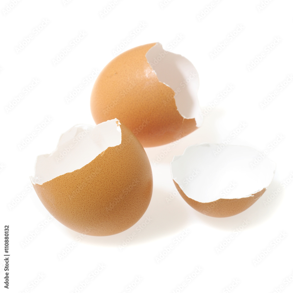 fresh egg isolated on white background fresh egg isolated on white background