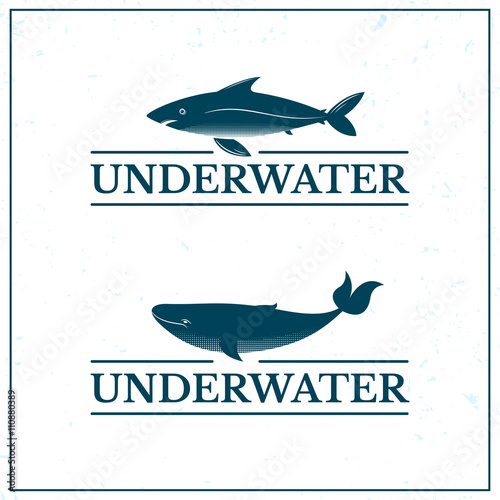 Underwater oceanarium logo, vector illustration
