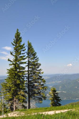 View of the lake from the top of the mountain with pine trees in