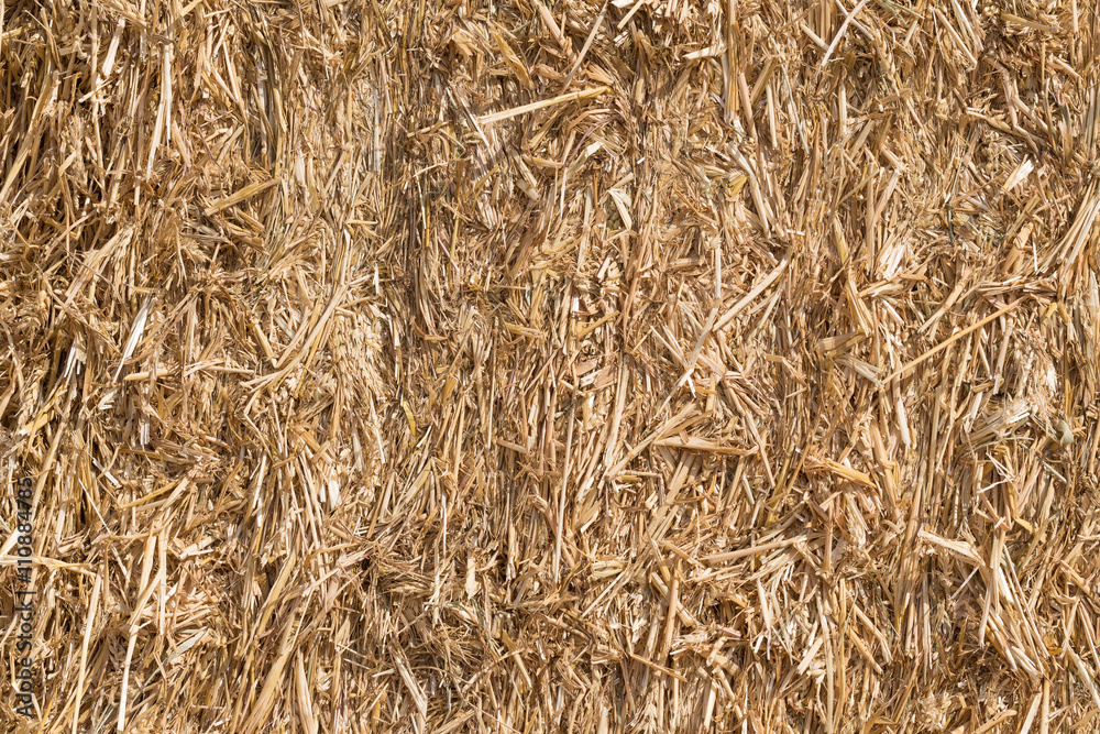 Wheat crop stack texture fields yard, Israel. Wheat crop stack texture fields yard, Israel.