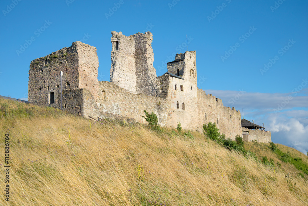 The ruins of the castle of the Livonian order august afternoon in Rakvere. Estonia