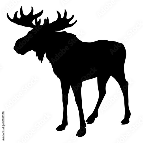 moose silhouette, black isolated  photo
