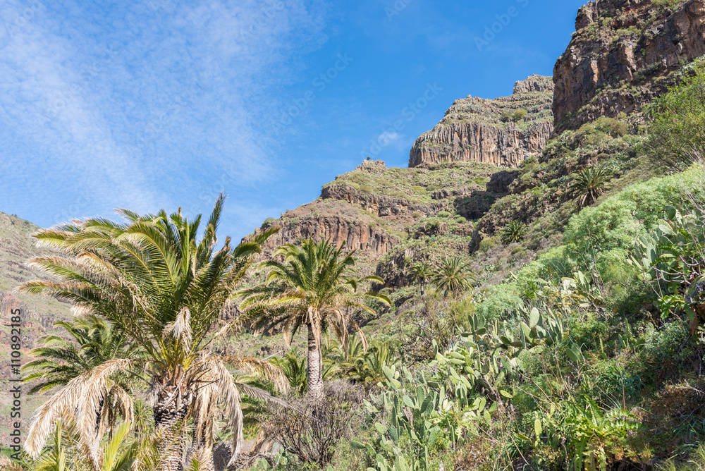 Typical landscape of the Valle Gran Rey on the Canary Island of La Gomera. The valley is located on the west side of the island. La Gomera has a unique natural environment that is ideal for hiking. Typical landscape of the Valle Gran Rey on the Canary Island of La Gomera. The valley is located on the west side of the island. La Gomera has a unique natural environment that is ideal for hiking.