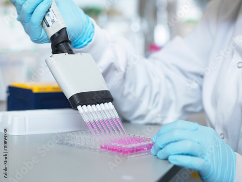 Scientist using multi-channel pipette to fill multiwell plate for analysis of antibodies by ELISA assay, Jenner Institute, Oxford University