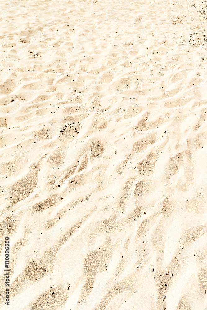 Sand Texture / White Sand Background close up / Beach Wallpaper Stock Photo  | Adobe Stock