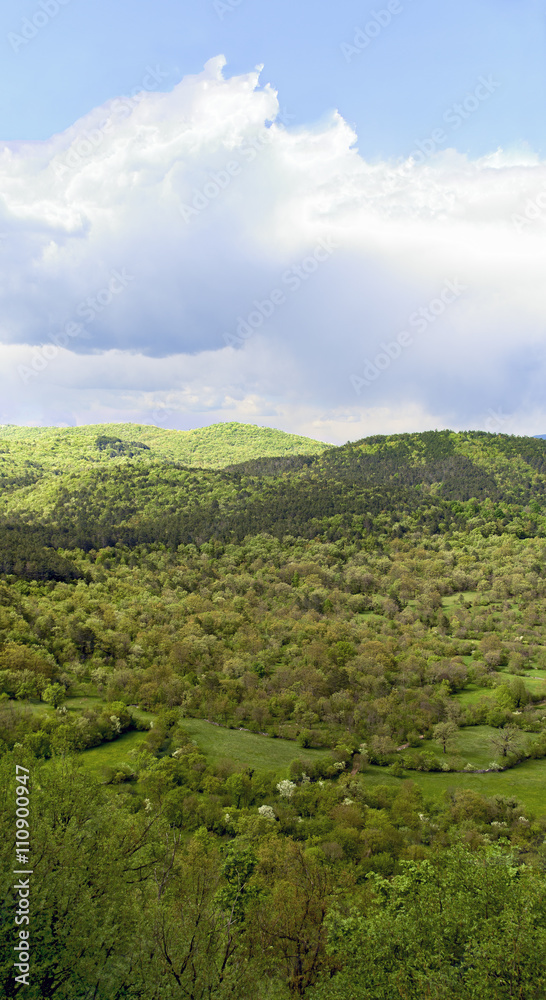 Landschaft bei Monrupino