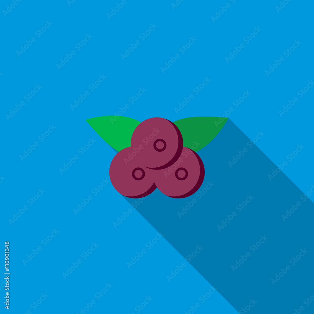 Bilberry icon, flat style Bilberry icon, flat style