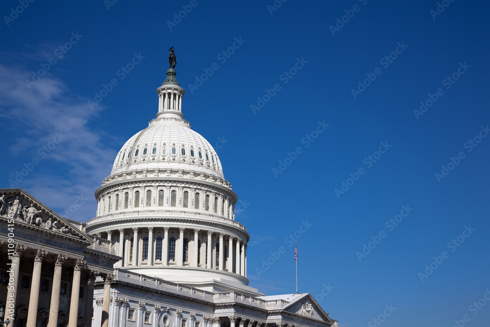 Naklejka premium Capitol Washington DC in sunny day