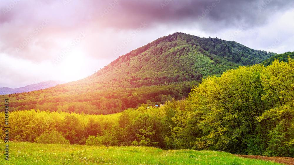 Fototapeta premium Carpathian mountains, picturesque landscape in Ukraine.