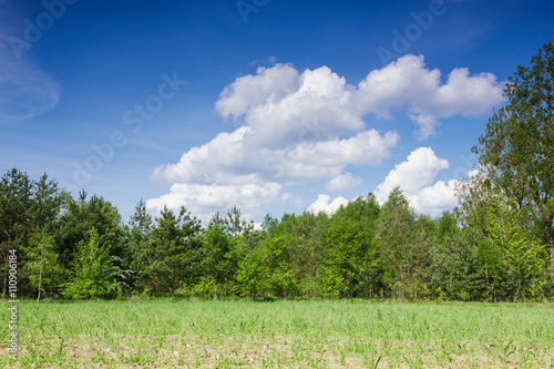 Nature landscape tranquil scene.