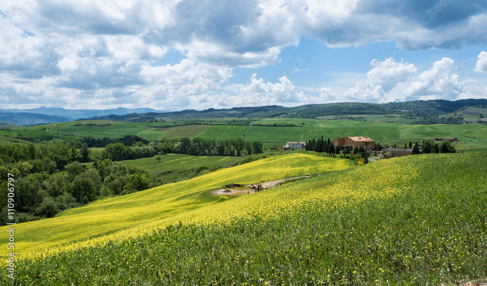 Landwirtschaft in den toskanischen Hügeln