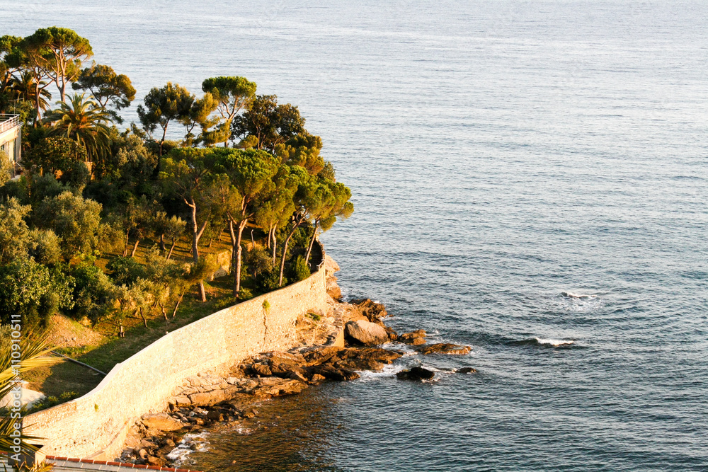 Obraz premium Garden with trees separated by a wall from the sea at sunset.