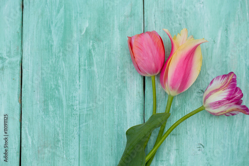 colorful tulips on wooden surface