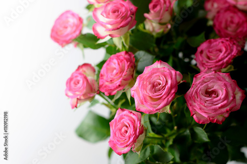 Beautiful roses background  © Soho A studio