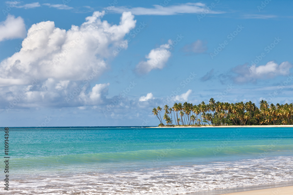 Fototapeta premium Caribbean beach with palms