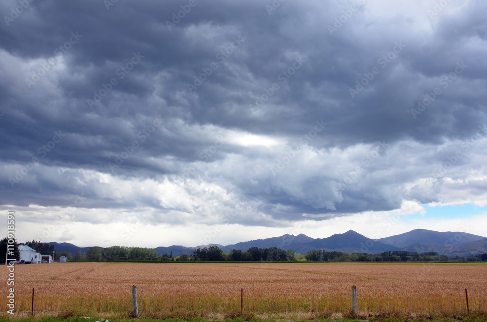 Storm clouds brewing over farm crops Storm clouds brewing over farm crops