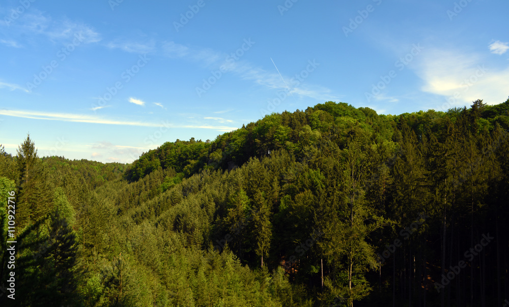 Green landscape near Kokorin castle