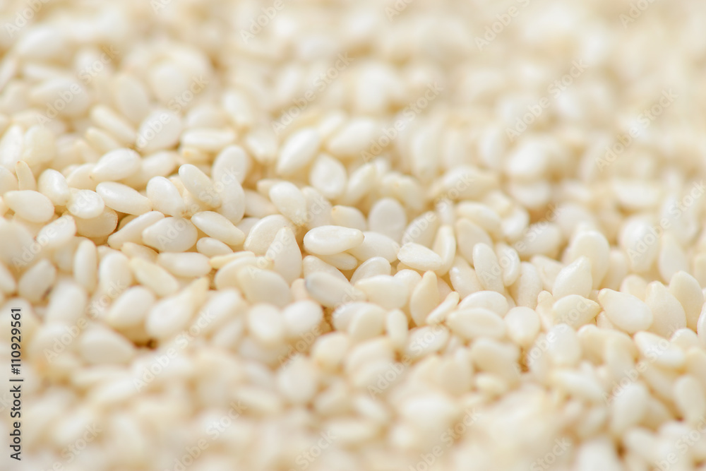 white sesame seeds white sesame seeds