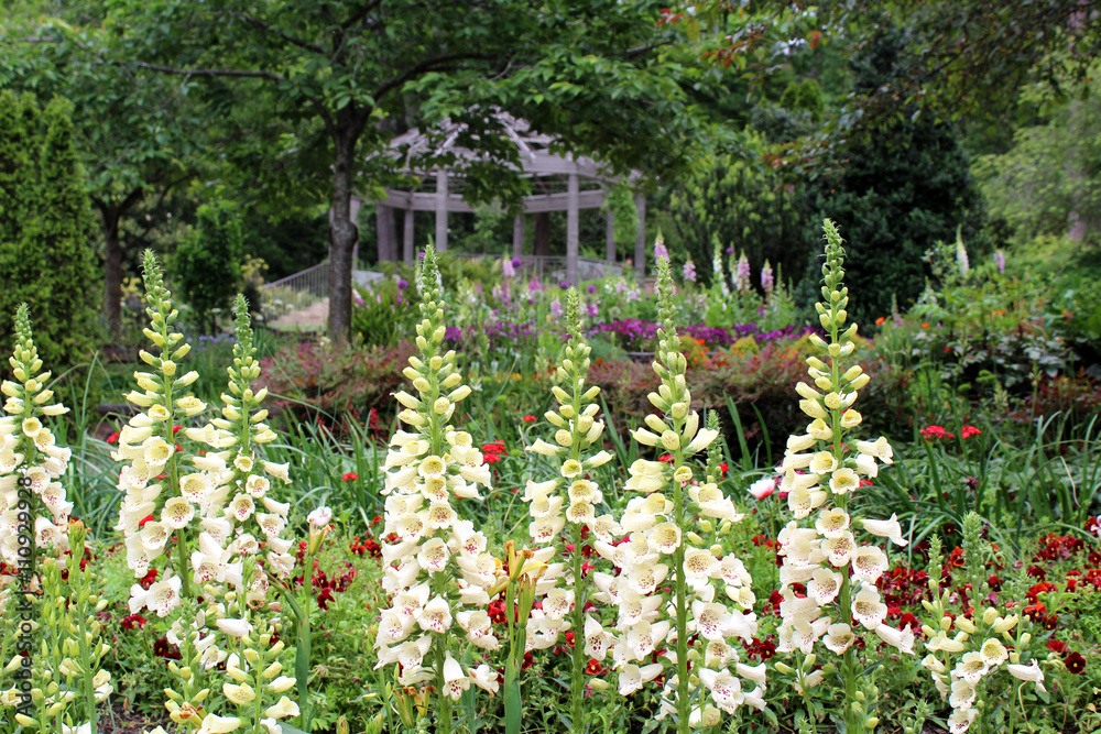 Obraz premium garden in spring