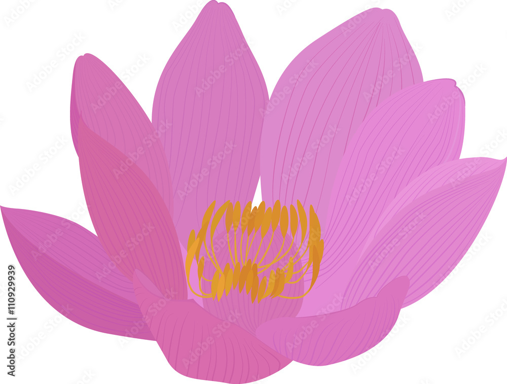 Naklejka premium Vector lotus pink flower icon