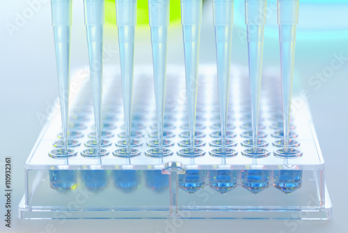 Multi pipette adding samples to multi well tray in a laboratory photo