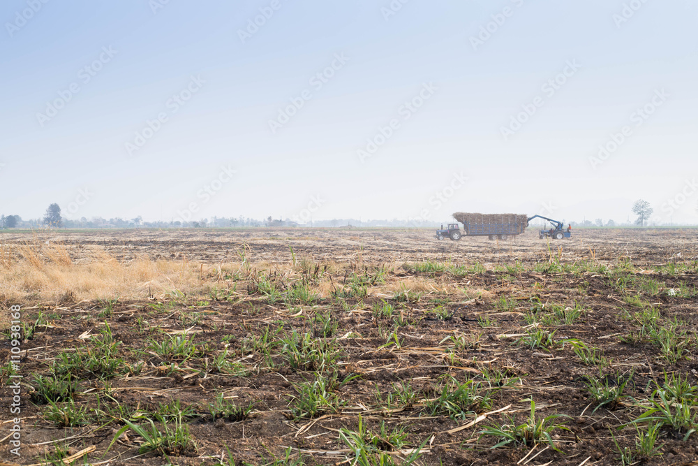 agricultural field that was plowed for planting