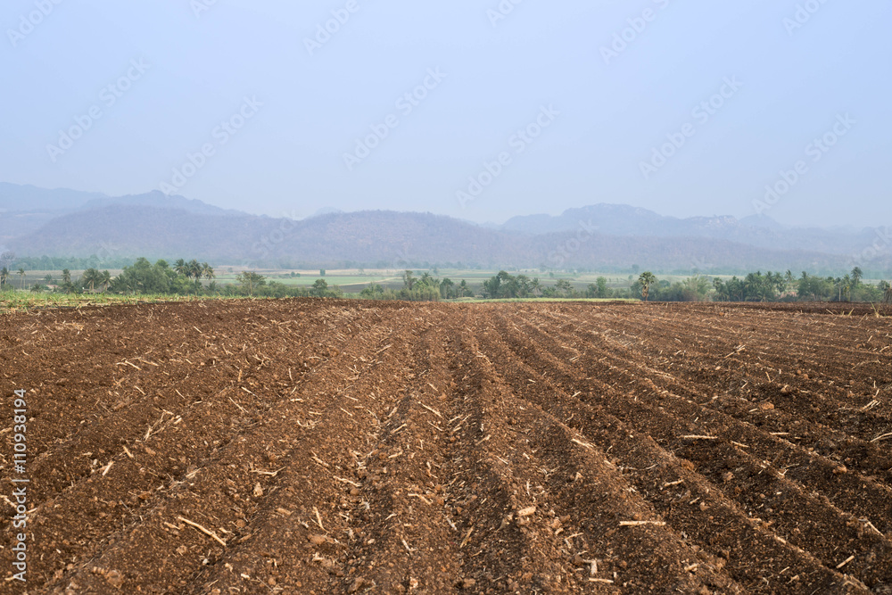 agricultural field that was plowed for planting