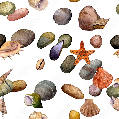 vector seamless pattern with watercolor drawing shells