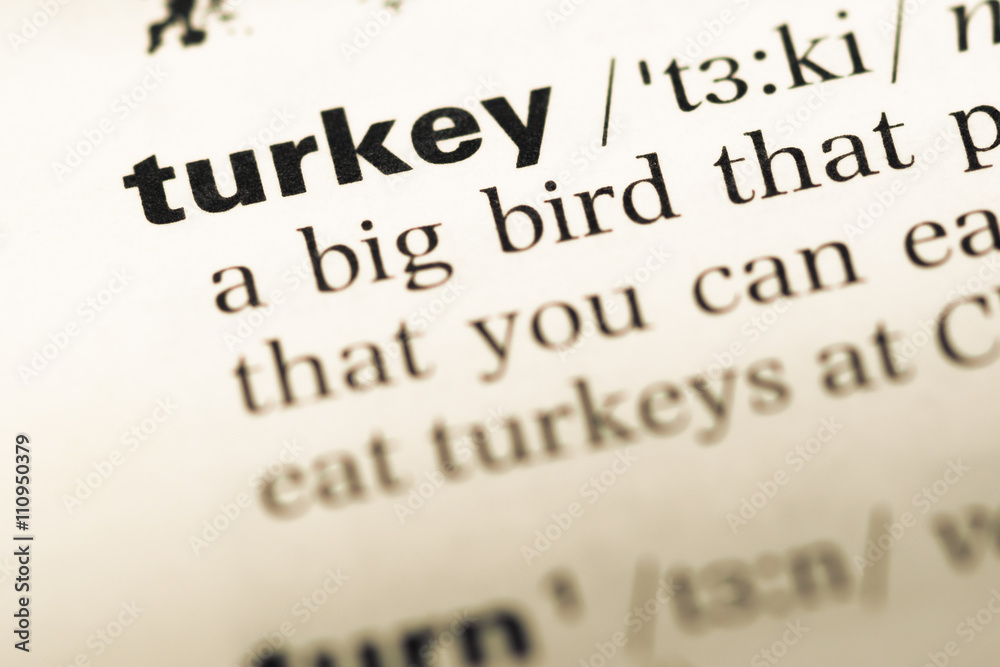 Obraz premium Close up of old English dictionary page with word turkey