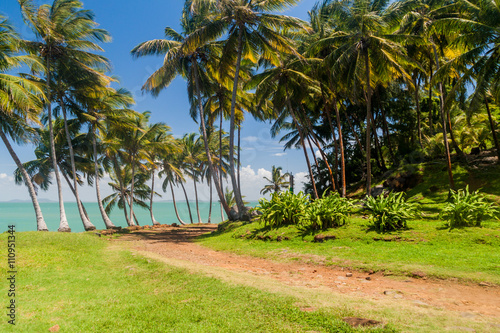 Road at Ile Royale, one of the islands of Iles du Salut (Islands of Salvation) in French Guiana