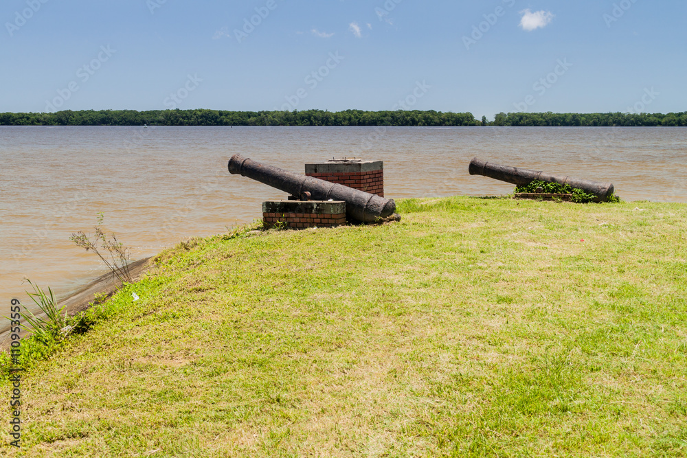 Cannons at Fort Nieuw Amsterdam in Suriname Cannons at Fort Nieuw Amsterdam in Suriname