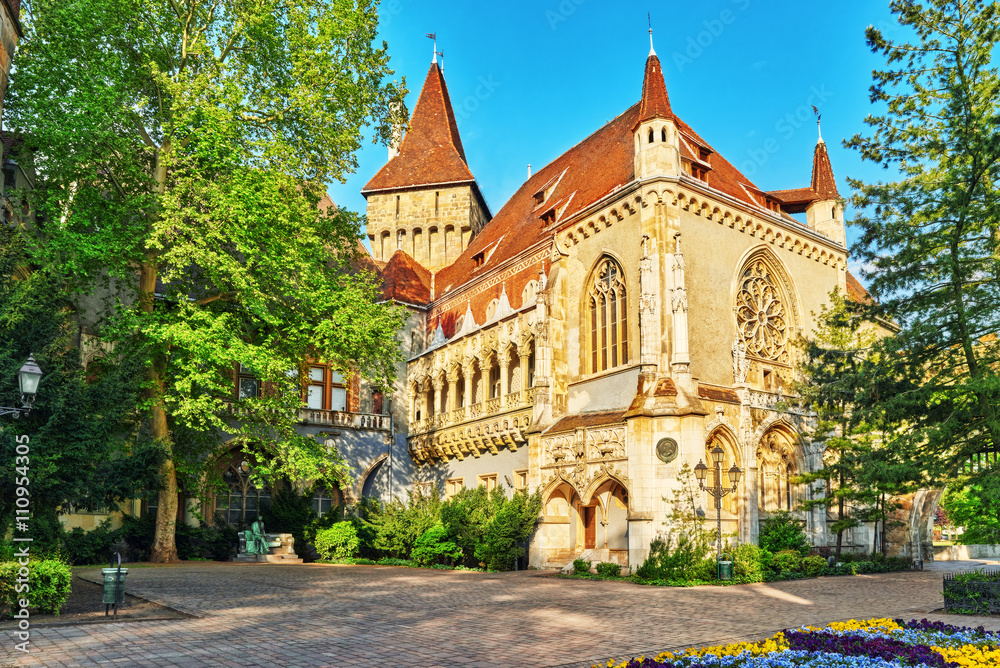 Vajdahunyad Castle (Hungarian-Vajdahunyad vara) is a castle in t