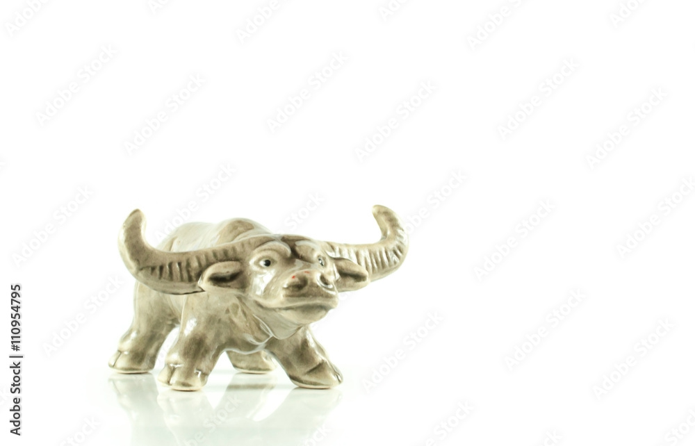 buffalos close up isolated on white background. buffalos close up isolated on white background.
