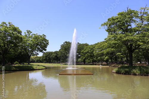 公園と噴水