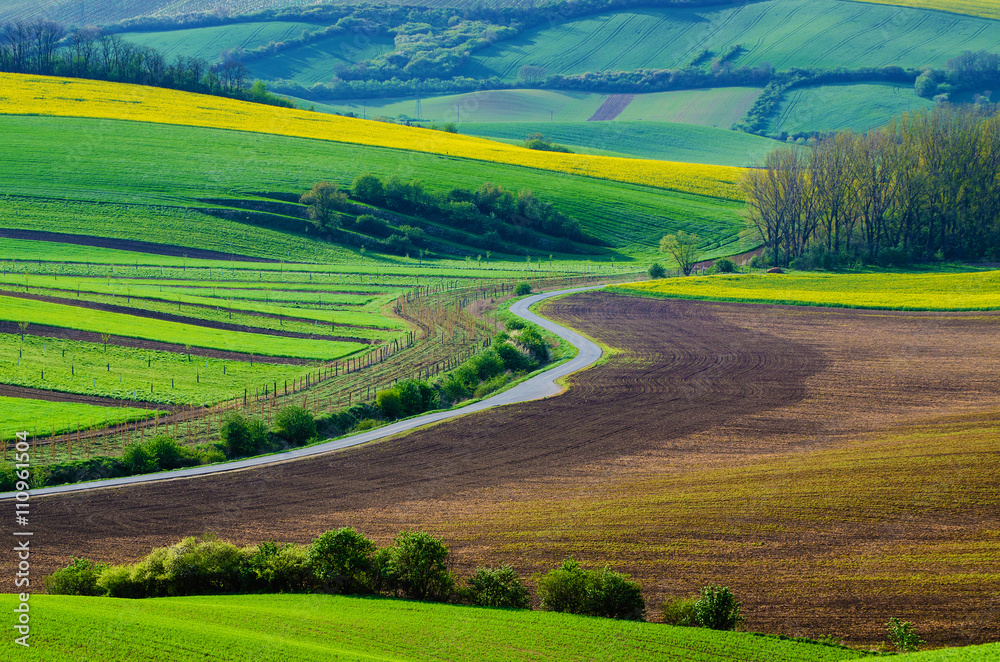 Rural landscape with green fields, road and waves, South Moravia, Czech Republic Rural landscape with green fields, road and waves, South Moravia, Czech Republic