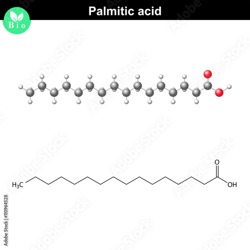 Palmitic acid molecule