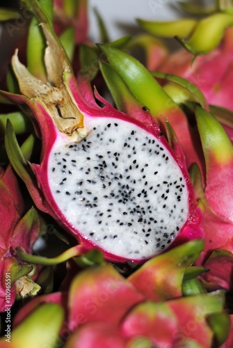 Pitahaya Drachenfrucht (Hylocereus undatus)