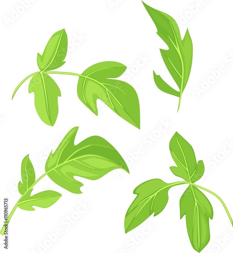 green leaf set