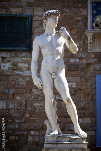 Copy of Michelangelo's David in Florence