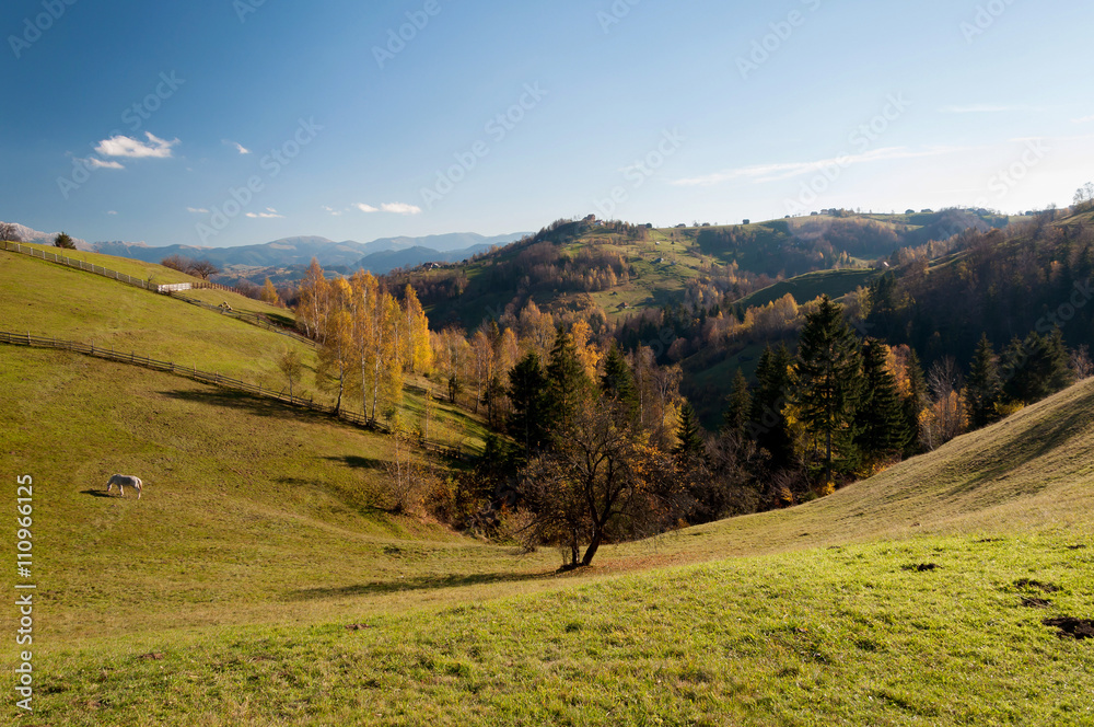Autumn landscape in the transylvanian hills
