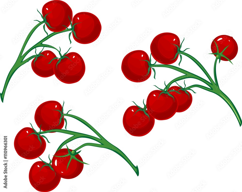Cherry tomatoes on the vine Cherry tomatoes on the vine