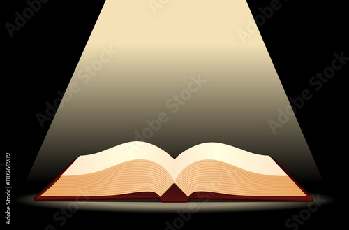 Illustration of open antique book. 