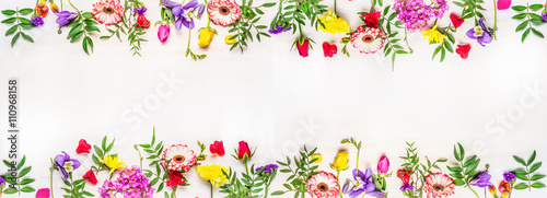 banner for the web site  various multicolored spring flowers  space for text  top view