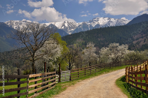 Beautiful spring landscape with blooming trees and snow covered mountain peaks, in the transylvanian hills, Romania